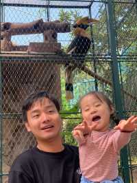 親子遊｜從深圳跑去廣州動物園，大怨種？