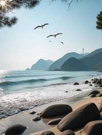 探索南澳縣：小眾海島的奇幻之旅