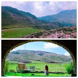 Family Fun at Wumeng Grassland | Watch the Stars and Grazing Cattle