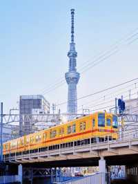 雲端之旅：東京晴空塔的璀璨兩日