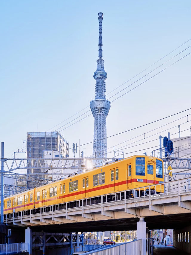 雲端之旅：東京晴空塔的璀璨兩日