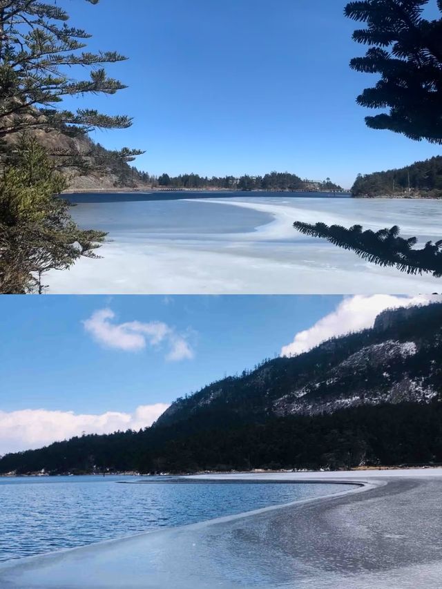 承包整片仙境的雪山秘境