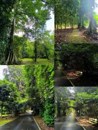 印尼茂物：小眾寶藏旅行地，邂逅綠野仙蹤