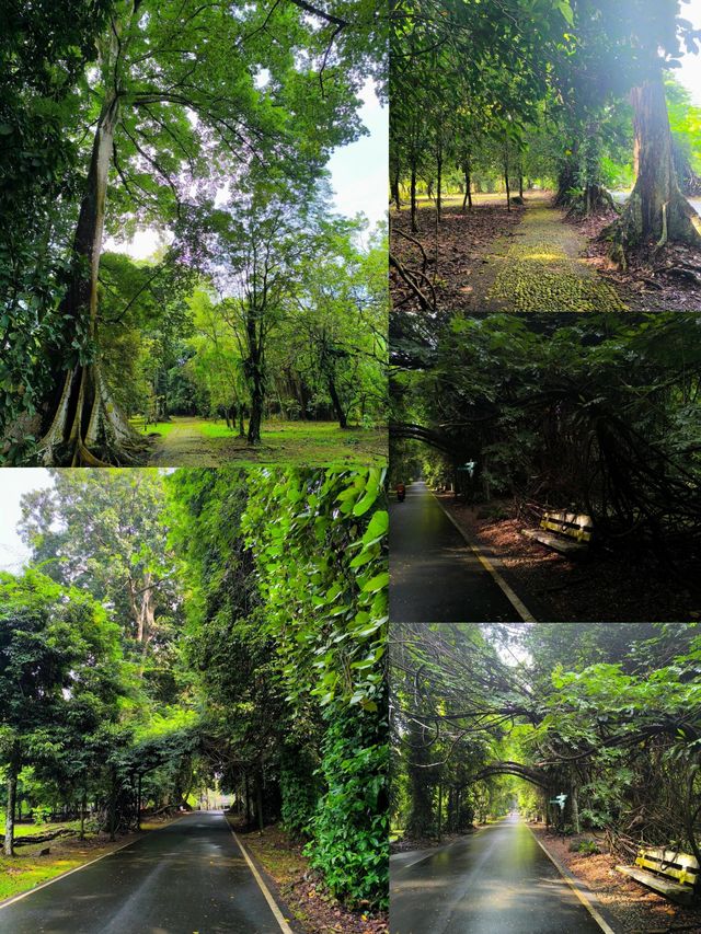印尼茂物：小眾寶藏旅行地，邂逅綠野仙蹤