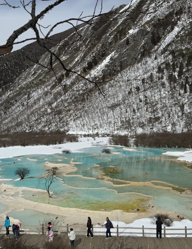 黃龍實況 乾了這瓶氧氣icon再說