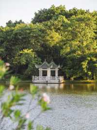 春日裡的東湖公園美得猝不及防