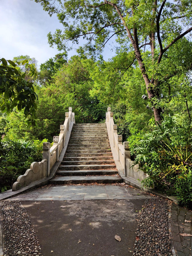 春日裡的東湖公園美得猝不及防