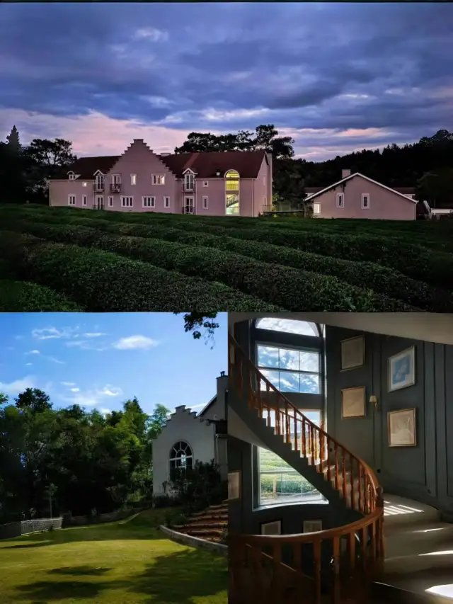 영국 고성에서 유채꽃을 감상하세요! 이 장원은 정말 놀라워요.