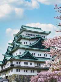 名古屋賞櫻攻略：歷史與現代交織的春日花海！
