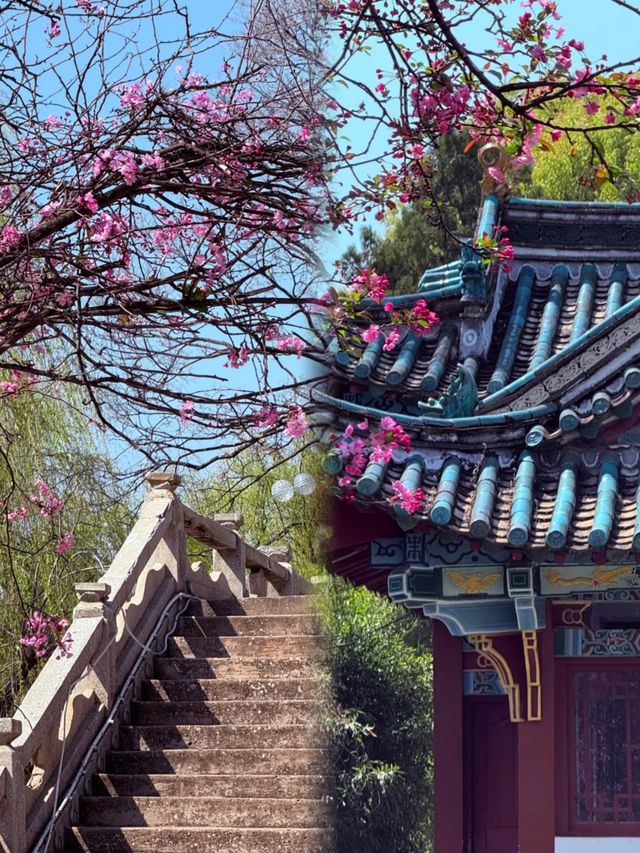 畫中有詩的地方叫大觀樓