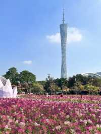 綠意盎然：二沙島宏成公園的靜謐之旅
