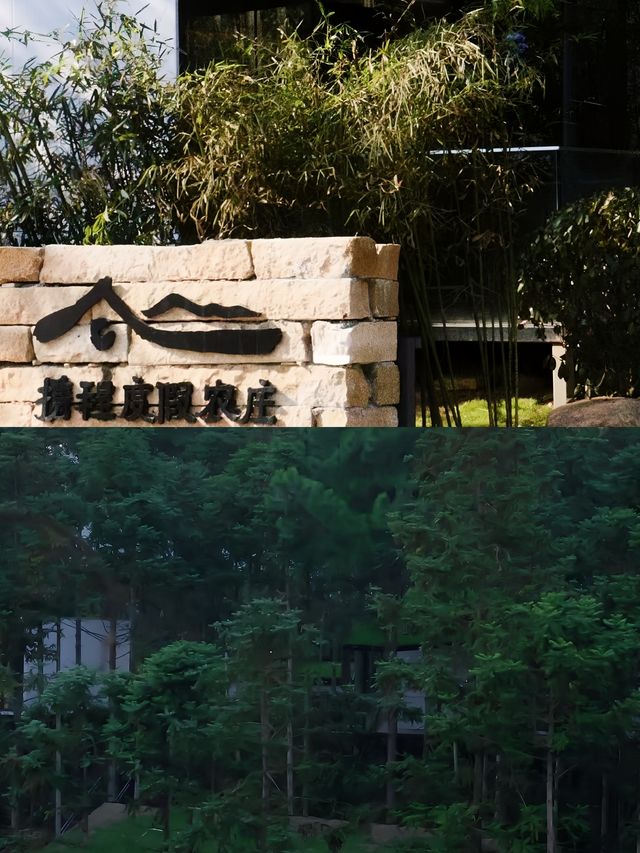 江西宜春旅遊大全景！