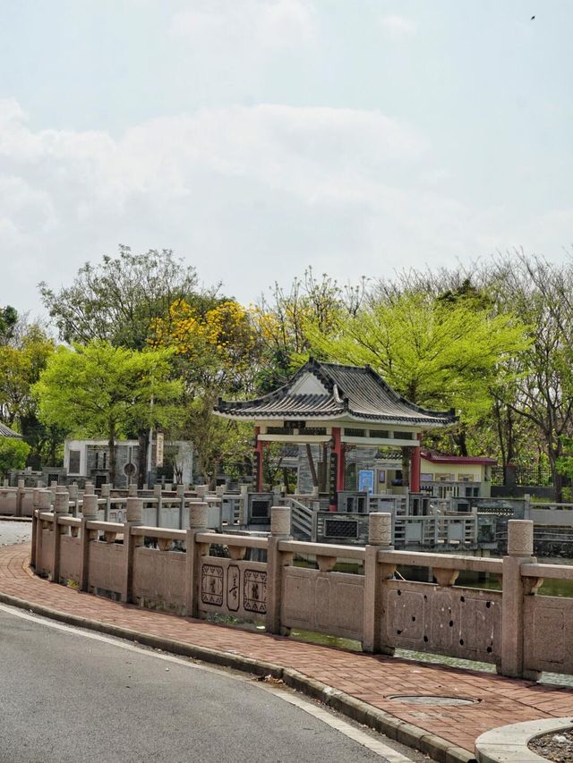 佛山紫南村｜附絕美拍照機位＋避坑指南