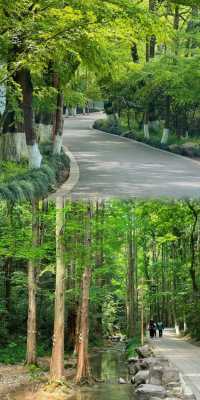 超越西湖嘅美景等你嚟發掘！
