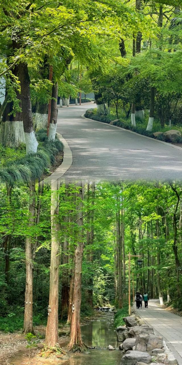 超越西湖嘅美景等你嚟發掘！