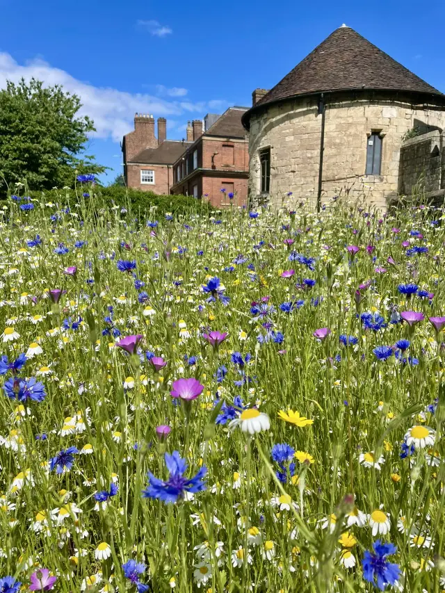 Museum Gardens: York’s Oasis Amongst Ancient Ruins