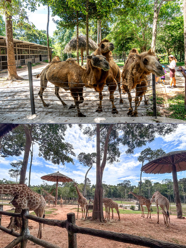【富國島野性出片指南｜在珍珠野生動物園拍出野性大片】