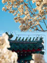 2025北京天壇公園最新保姆級攻略，拒絕踩坑