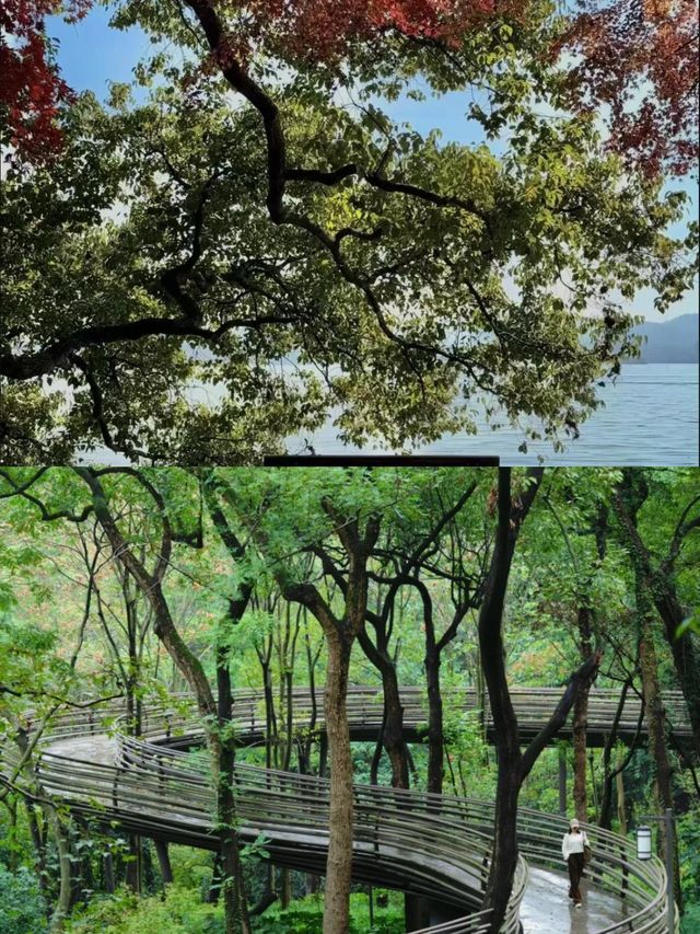 避開人潮，探秘西湖小眾寶藏地