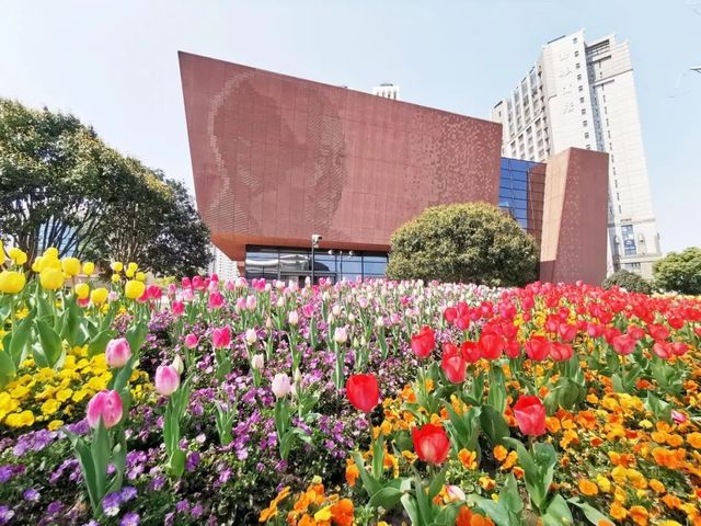 徐家匯的花都開滿了，再不來就晚了……。
