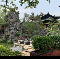 【越秀公園】木棉花開到燦爛‼️