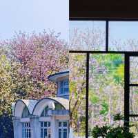 華南農業大學濕地公園遊玩攻略