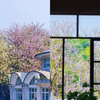 South China Agricultural University Wetland Park Travel Guide