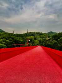 深圳最美的虹橋公園！！