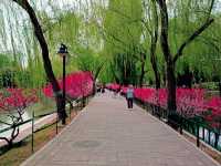 Tangshan Nanhu-Kailuan Tourist Scenic Area: From Coal Mining To The Green Wonder