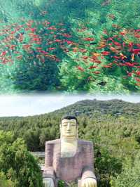 漫步大明湖，攬盡湖光山色與千年風華