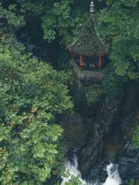 四大佛教名山跟風年輕人的禪修新玩法