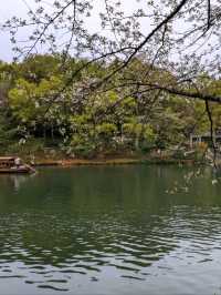 烏龜潭遊記