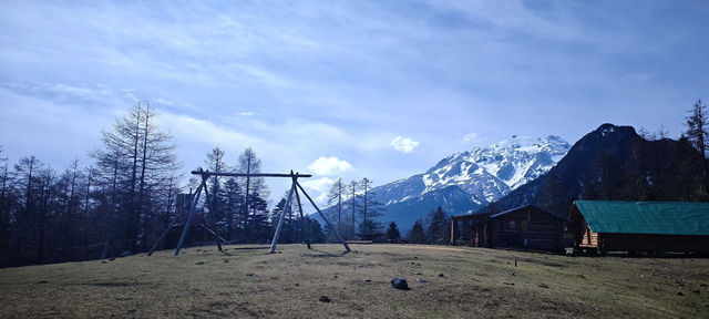 哈巴雪山杜鵑花季及露營體驗