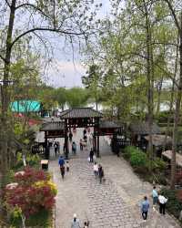 探索合肥「天然氧吧」，邂逅城市裡的綠野仙蹤