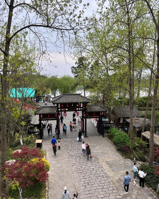 探索合肥「天然氧吧」，邂逅城市裡的綠野仙蹤