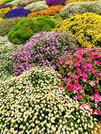 漫花莊園 | 闖入現實版莫奈花園，美到犯規