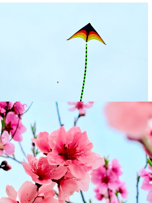 三江口生態公園，遺失的美好