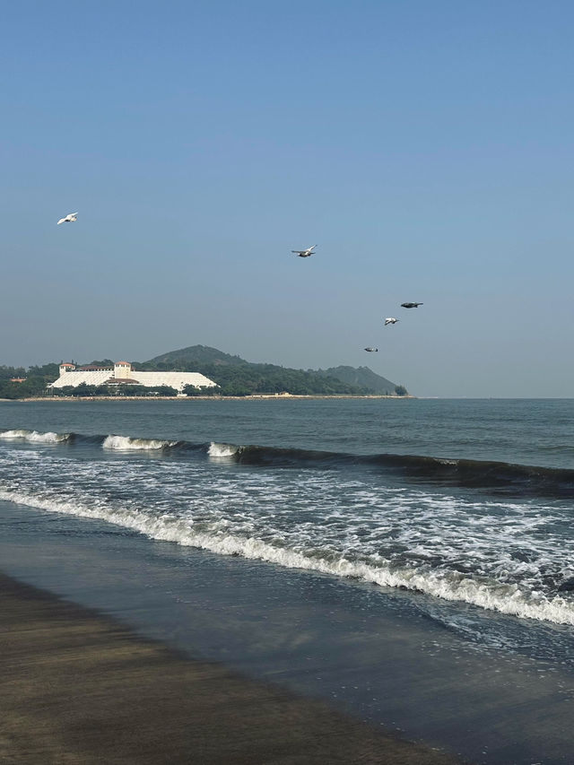 澳門黑沙灘：獨特的海灘奇景
