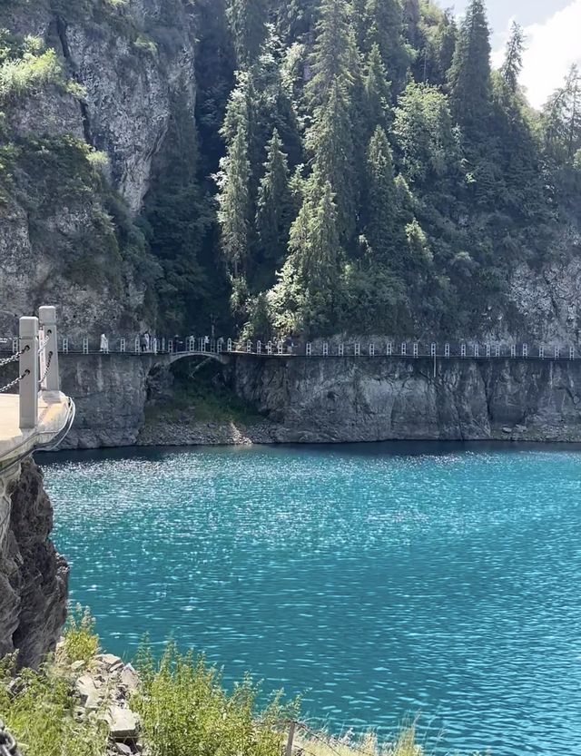 天天池