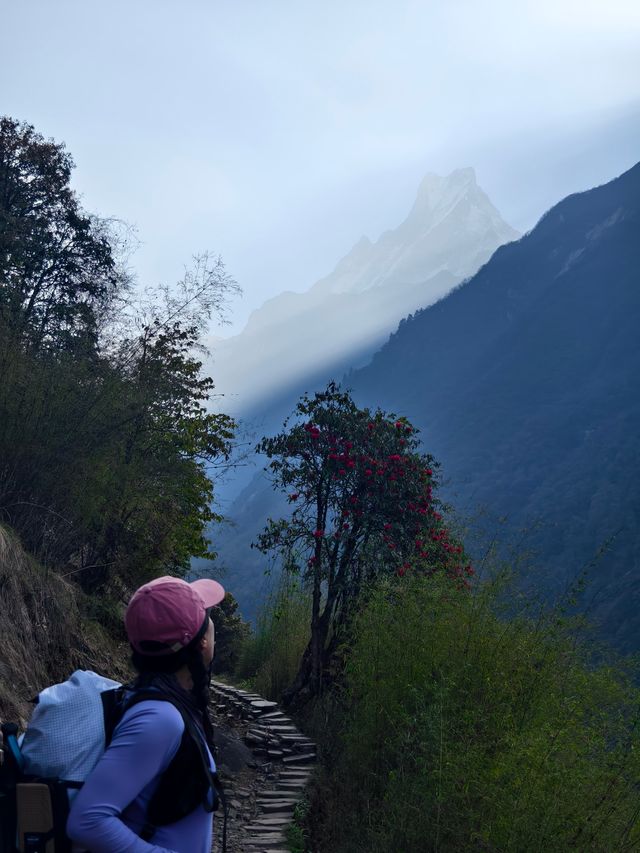 尼泊爾ABC徒步嘅衣食住行及七七八八
