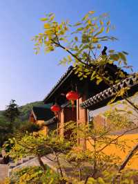 藏在舟山的佛系小眾秘境“善成禪寺”