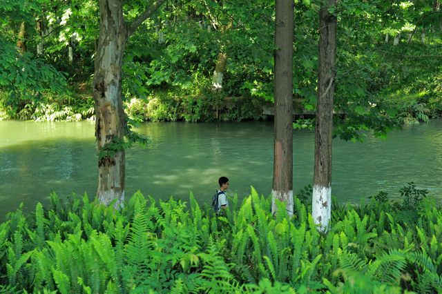 我的城市公園徒步天花板城市裡的綠野仙蹤 我的城市公園徒步天花板城市裡的綠野仙蹤