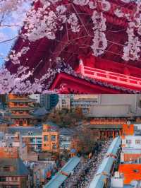 五月旅遊-國外篇