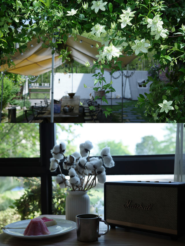 莫干山螢火之森 | 邂逅夏日限定浪漫！