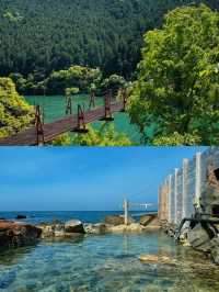 山海秘境、千年古寺與紀州梅香的禪意之旅！
