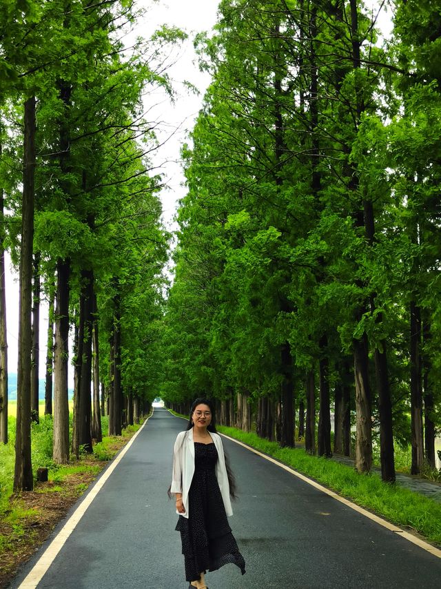32.4  溧陽長蕩湖
