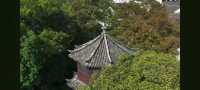 漫步蘇州園林：一場穿越千年的美學盛宴   踏入蘇州園林，彷彿打開了一本塵封的古籍，每一頁都書寫著東方