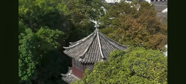 漫步蘇州園林：一場穿越千年的美學盛宴   踏入蘇州園林，彷彿打開了一本塵封的古籍，每一頁都書寫著東方