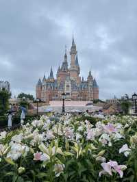 Disneyland Shanghai: Playing, learning and shopping 