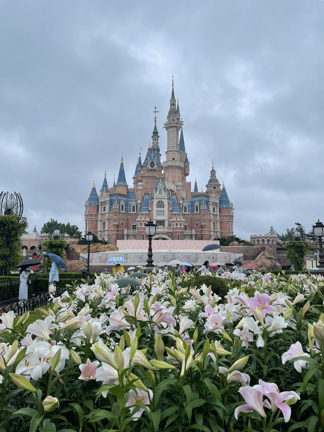 Disneyland Shanghai: Playing, learning and shopping 